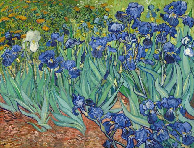  Van Gogh, Irises, May 1889. Oil on canvas